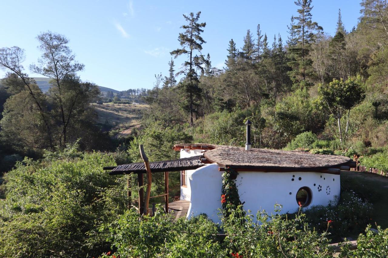 Half Moon Hollow Eco Cottage Mossel Bay Exterior foto